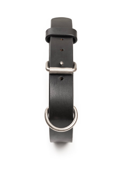 Agitation Leather Dog Collar