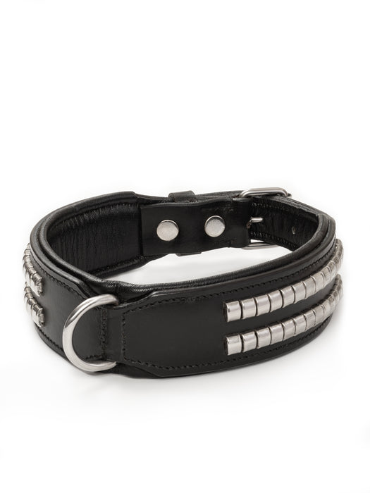 Leather Collar with Designer Studs