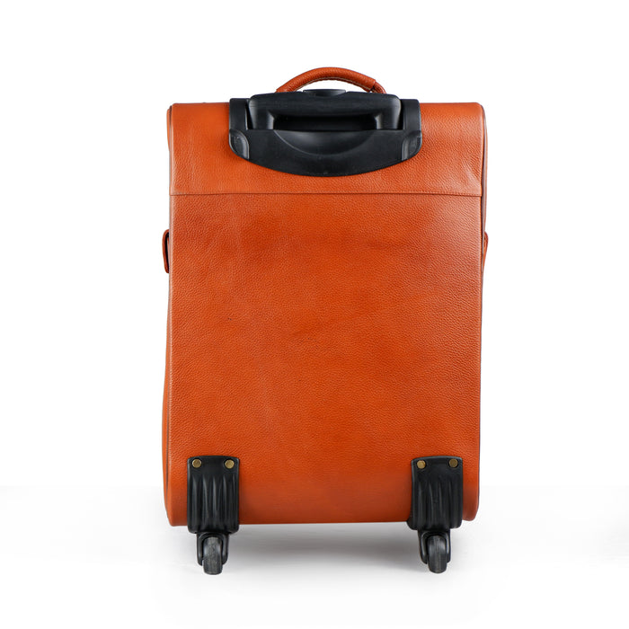 Tan Brown Cabin Trolley Suitcase